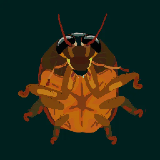 a close up of a bug on a black background