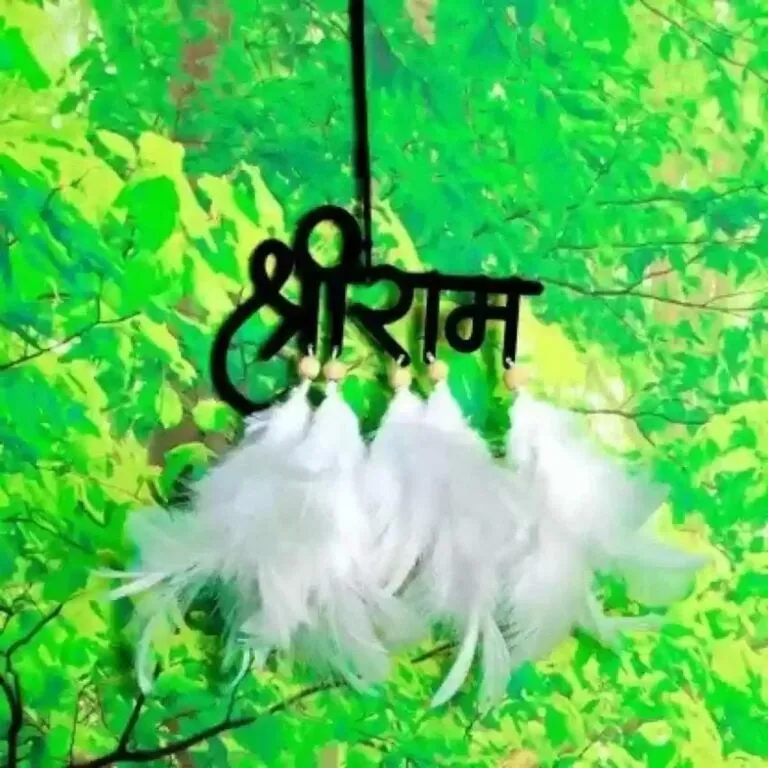 a couple of white feathers hanging from a hook