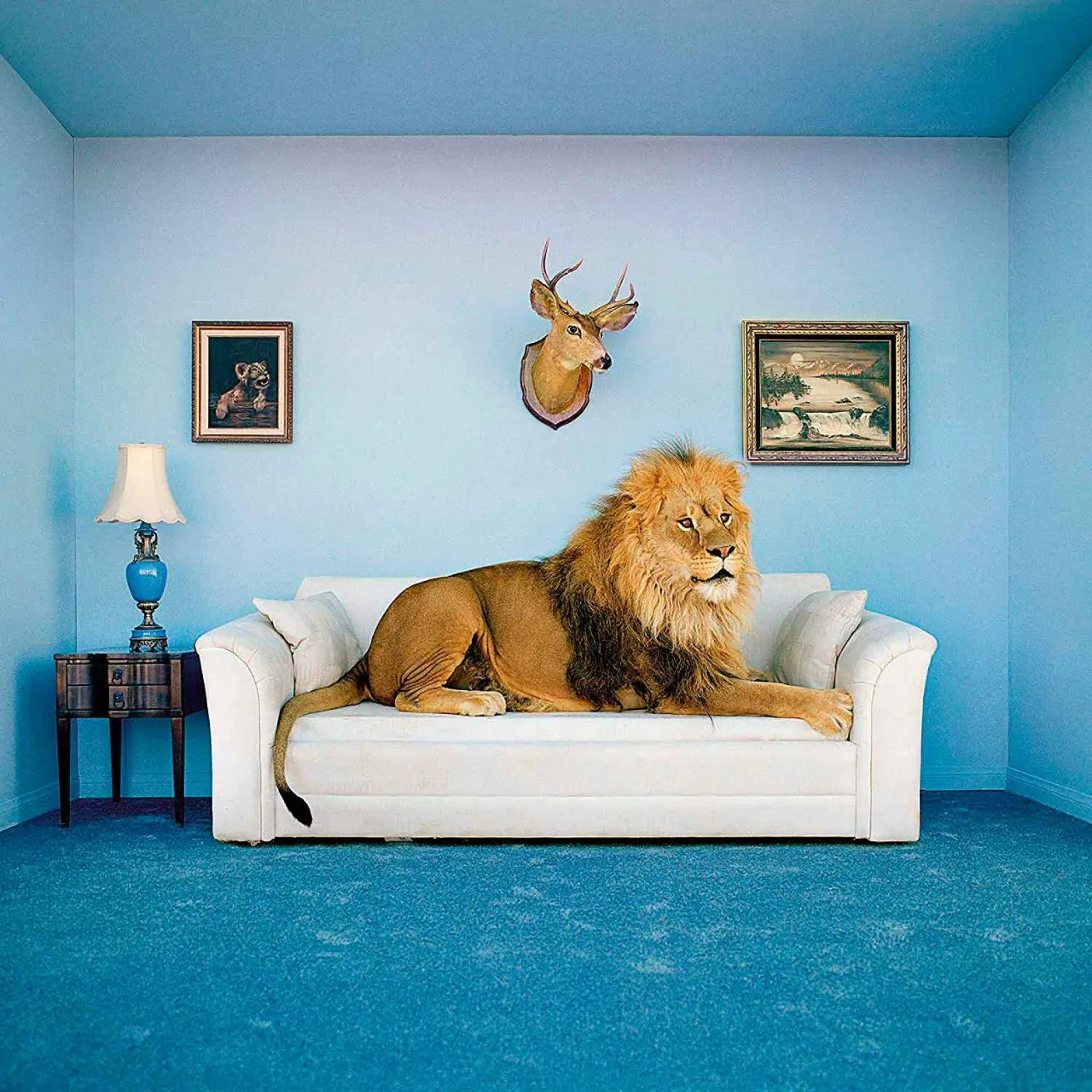 furniture, blue, comfort, textile, wood, interior design, picture frame, rectangle, felidae, floor лев 