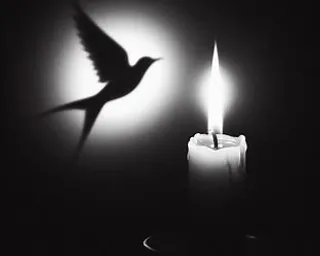 a candle and a bird in the dark