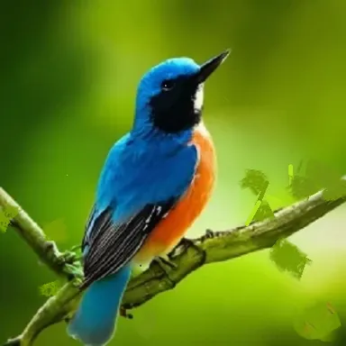 a blue and orange bird sitting on a branch