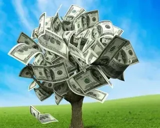 a money tree in the middle of a field