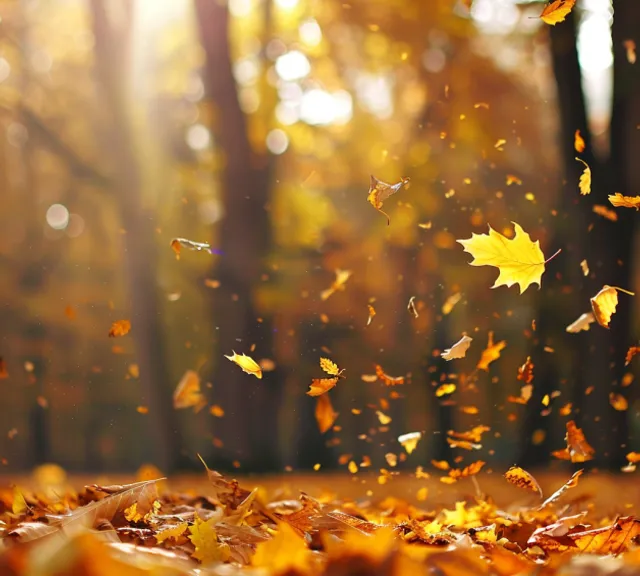 a bunch of leaves that are flying in the air