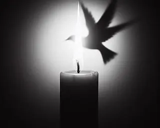 a lit candle with a bird flying over it