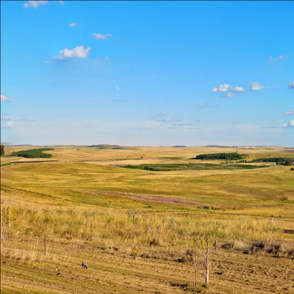 Translucent people in the steppe