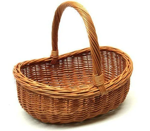 a wicker basket with a handle lying under a big tree in the jungle