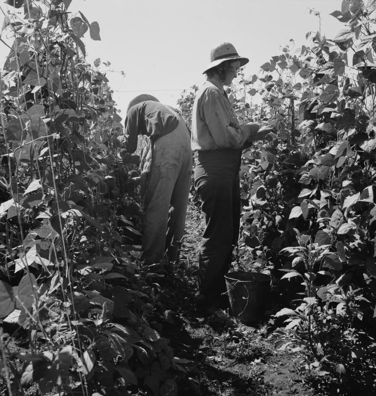 a couple of men standing next to each other in a field