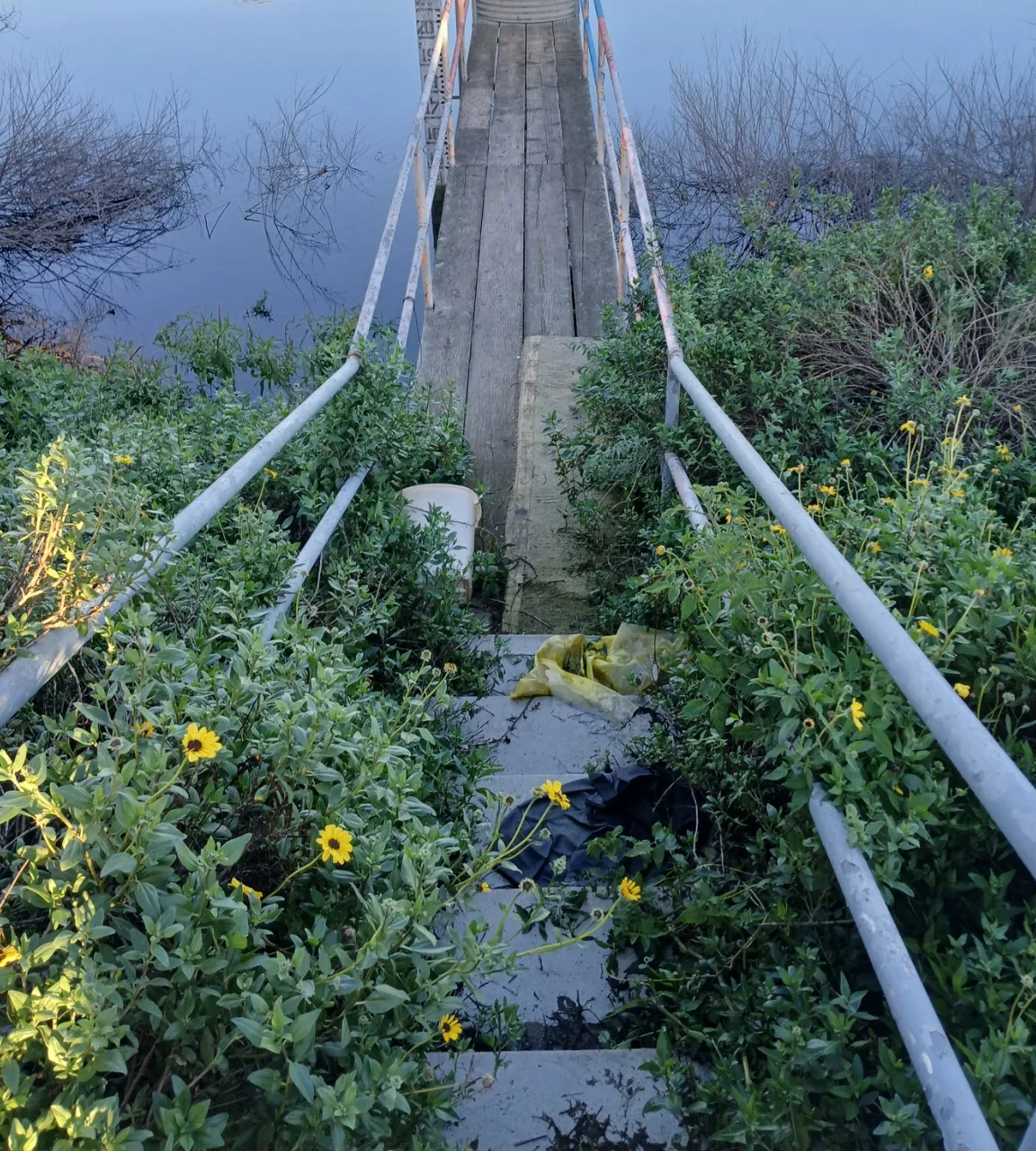 a wooden bridge over a body of water