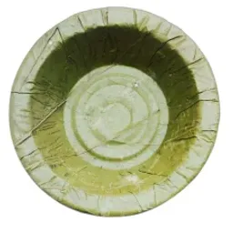 a green and white bowl on a white background