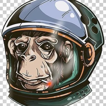 a monkey wearing a space helmet and smoking a cigarette