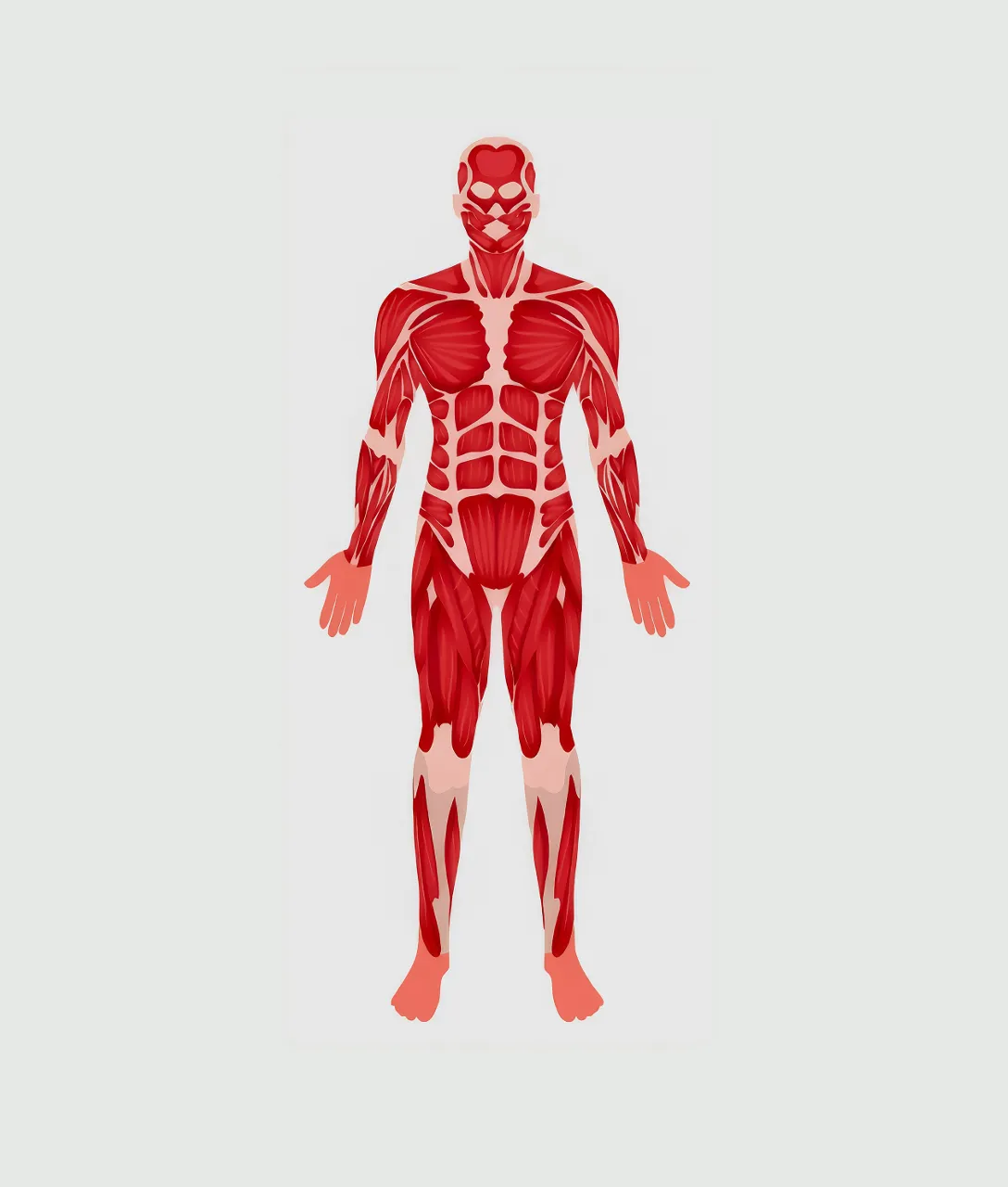 one man muscles are highlighted in red and white