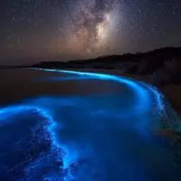 a beach with blue lights and a sky filled with stars