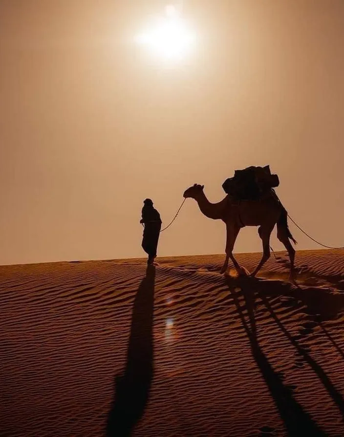 a man walking a camel across a desert