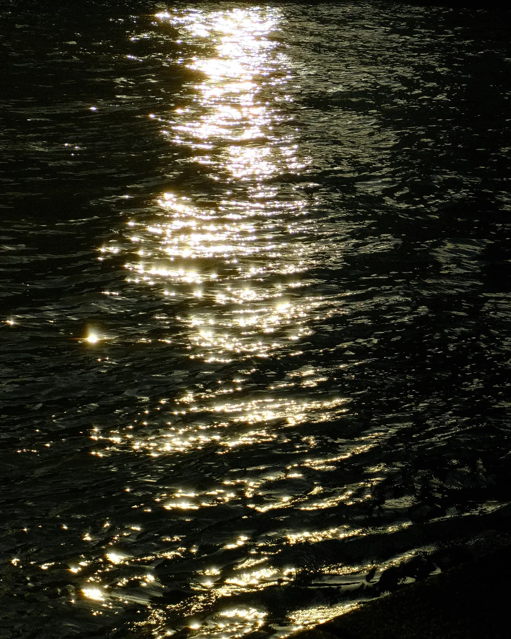 a body of water with the sun reflecting off of the water