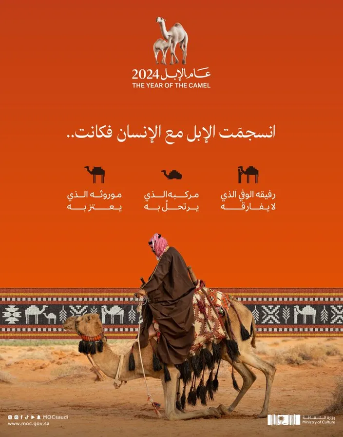 a  man riding on the back of a camel