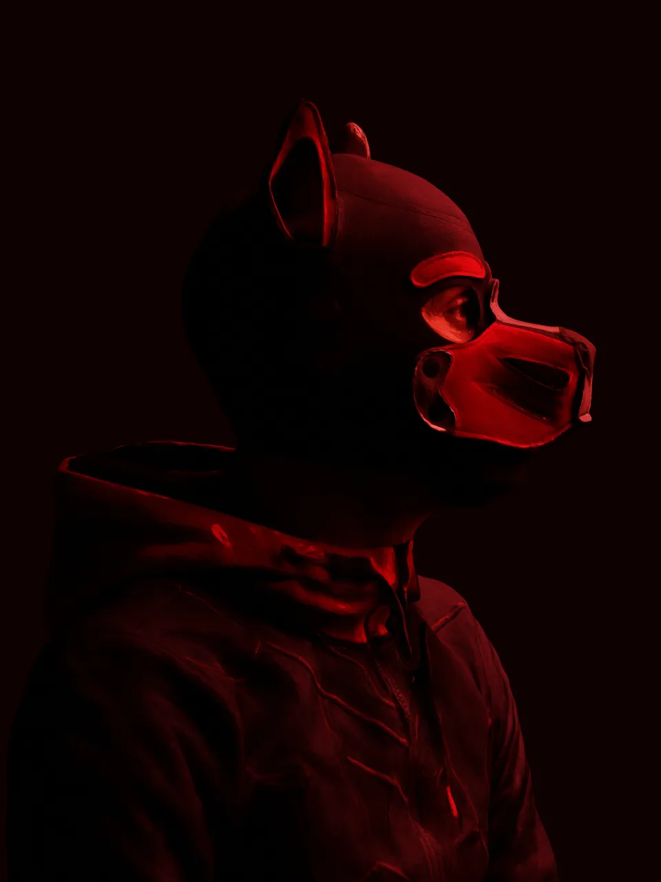 dog mask