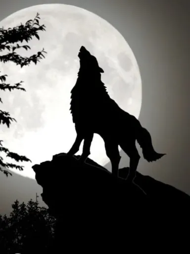 a wolf standing on top of a rock in front of a full moon