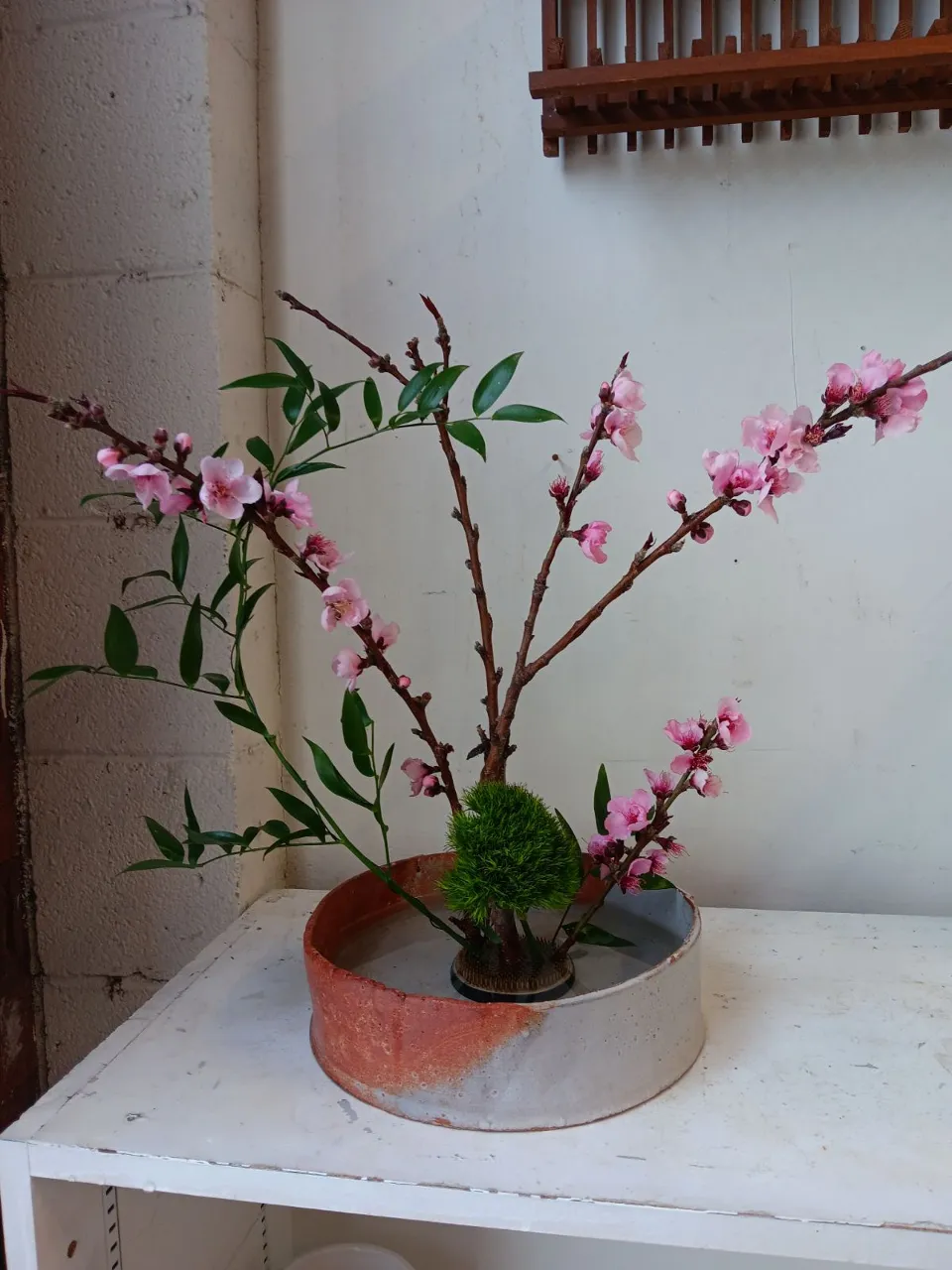 a potted plant sitting on top of a white shelf