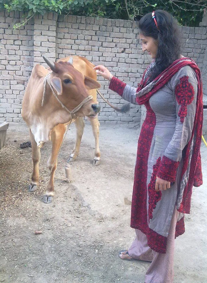 a woman petting a cow on the nose