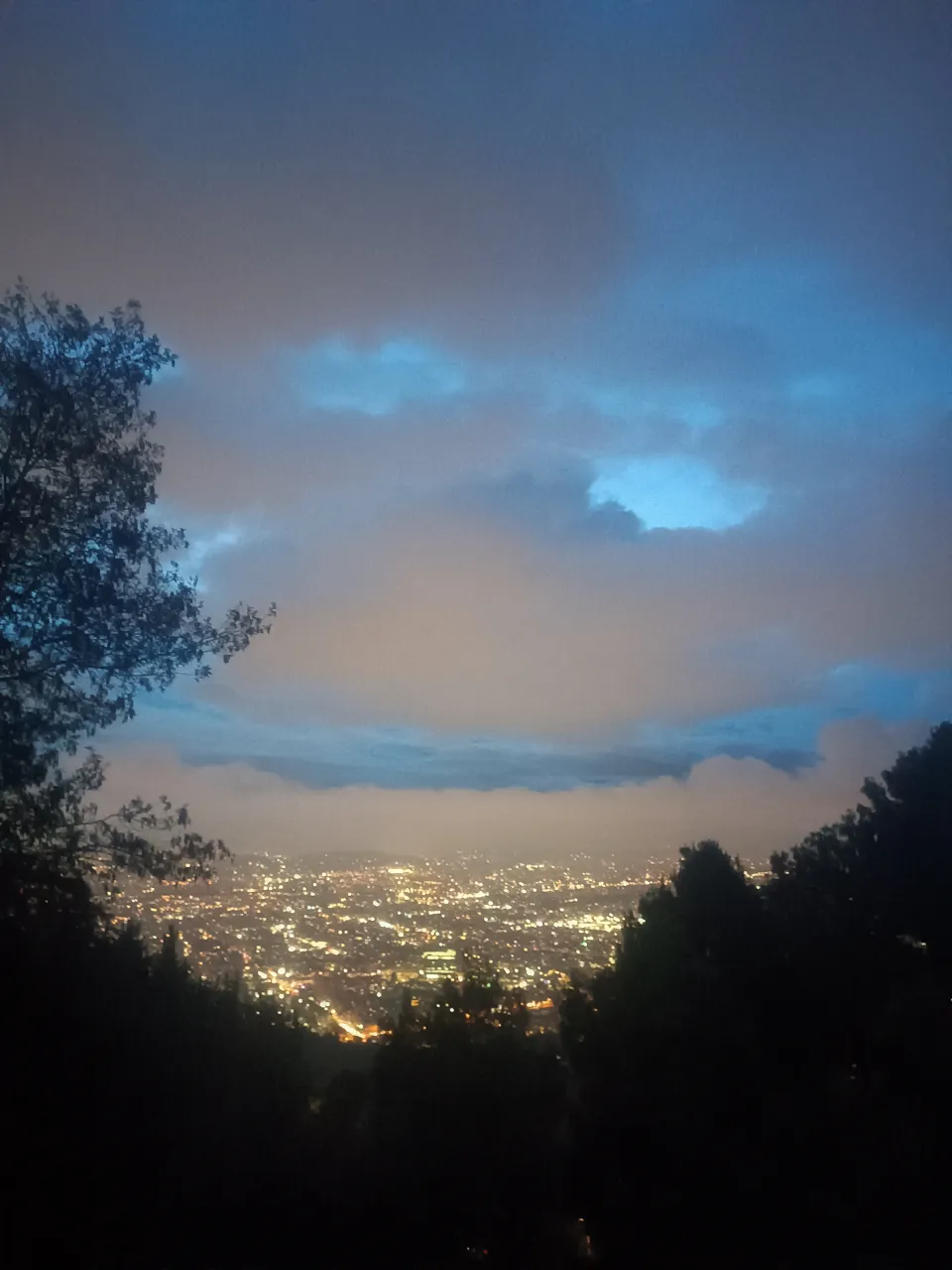 a view of the city lights from a hill