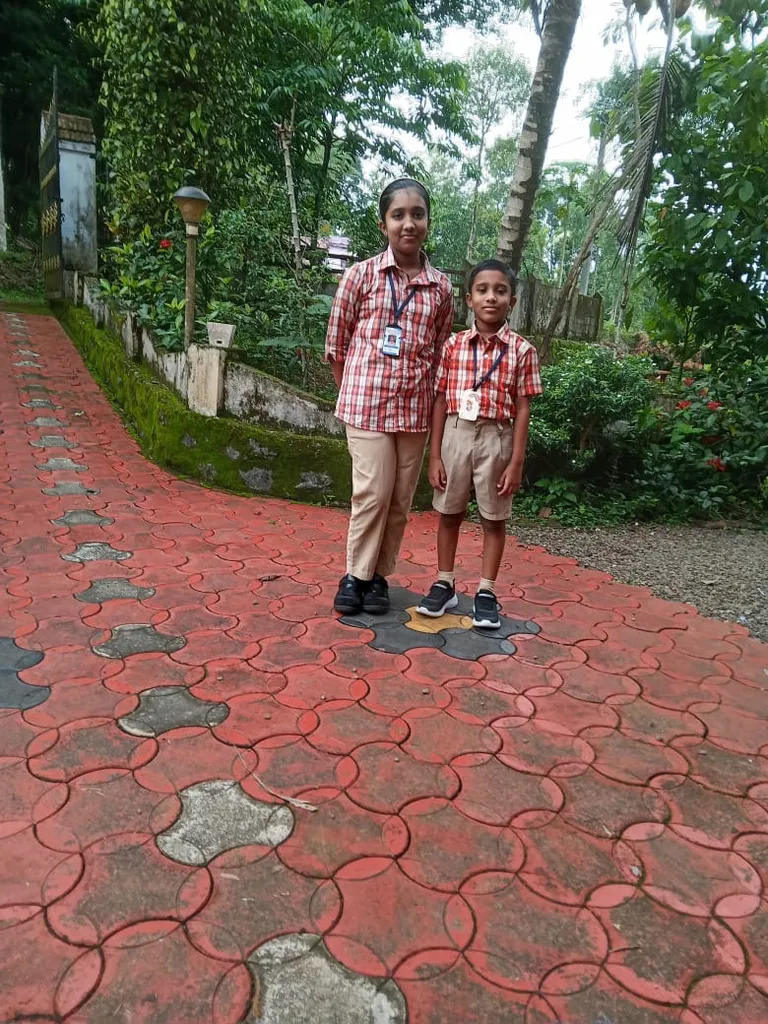 plant, leaf, temple, tree, grass, asphalt, road surface, leisure, red, woody plant