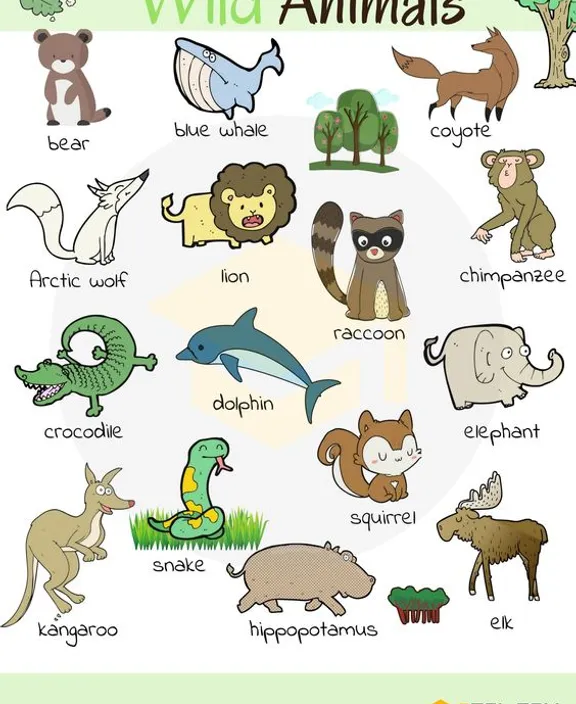a picture of wild animals