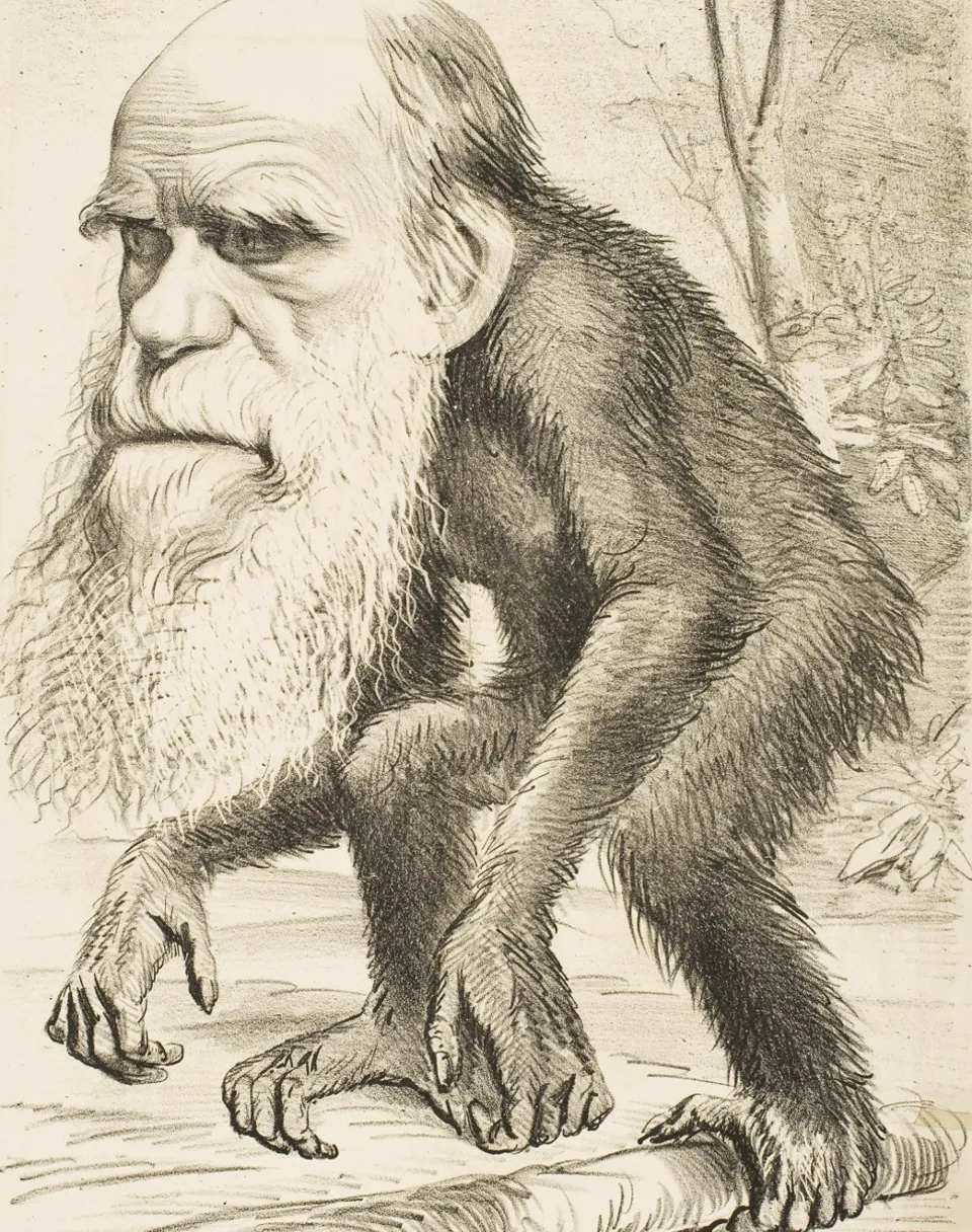 a monkey with Charles Darwin face, Photorealistic, Hyper detailed, cinematic,9:16,Ultra 8K,Hyper detailed,