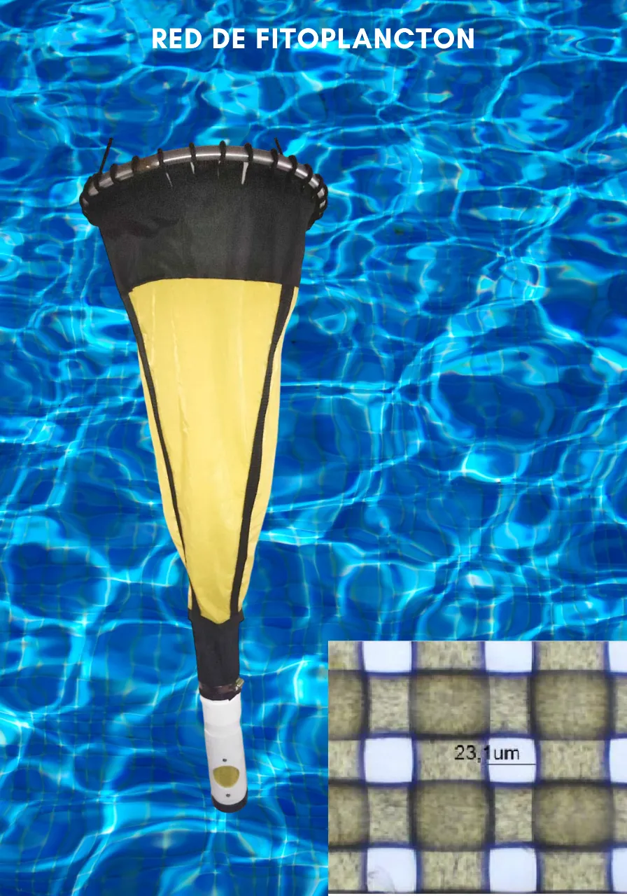 a yellow and black umbrella floating in a pool of water