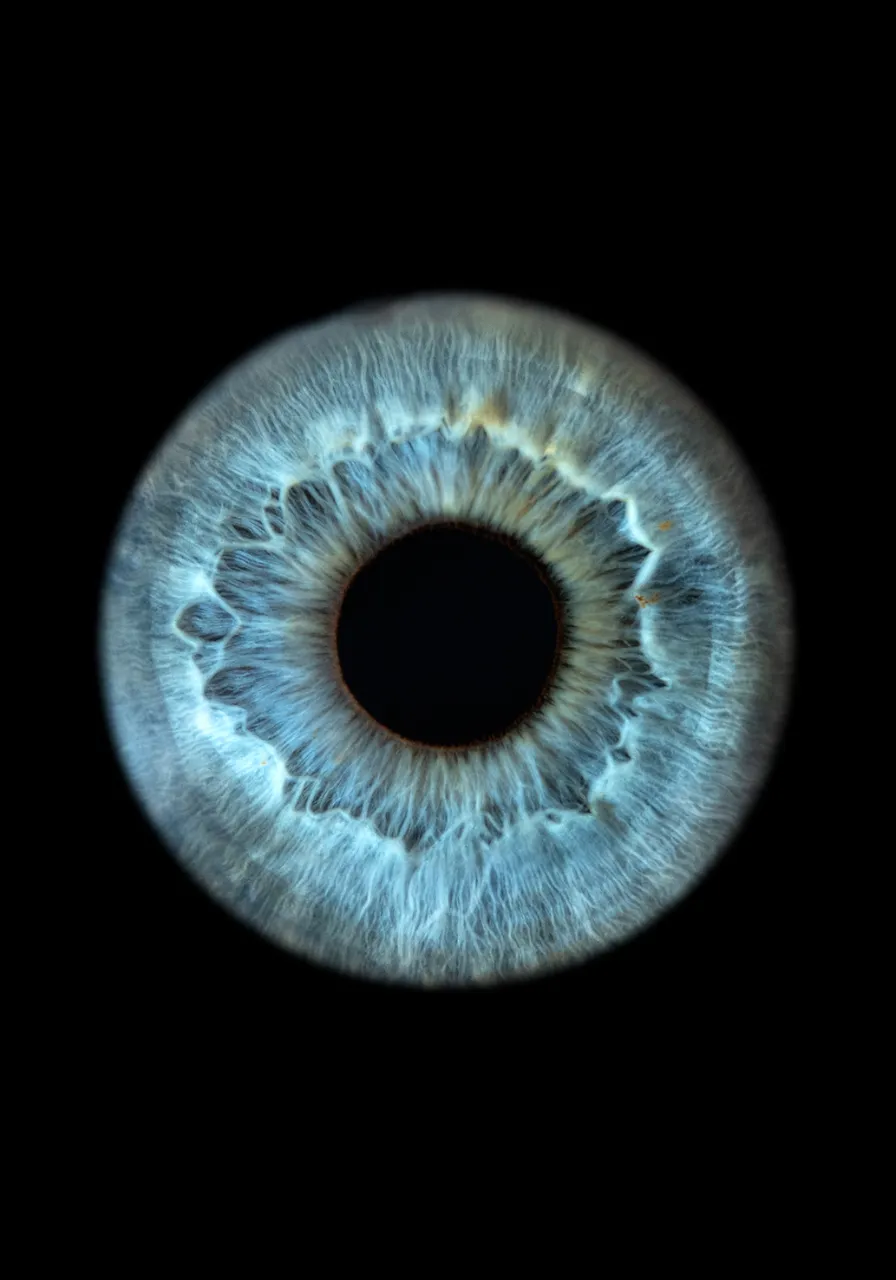a close up of an eyeball in the dark