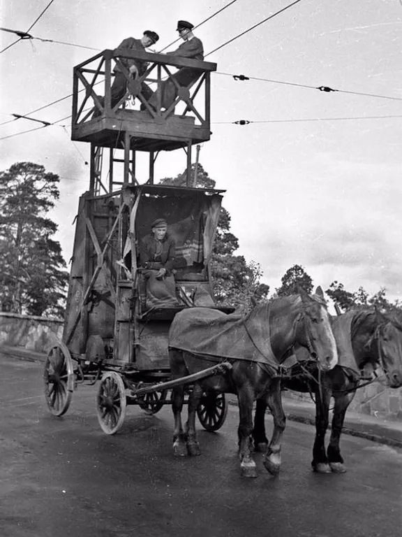 a horse drawn carriage on a city street