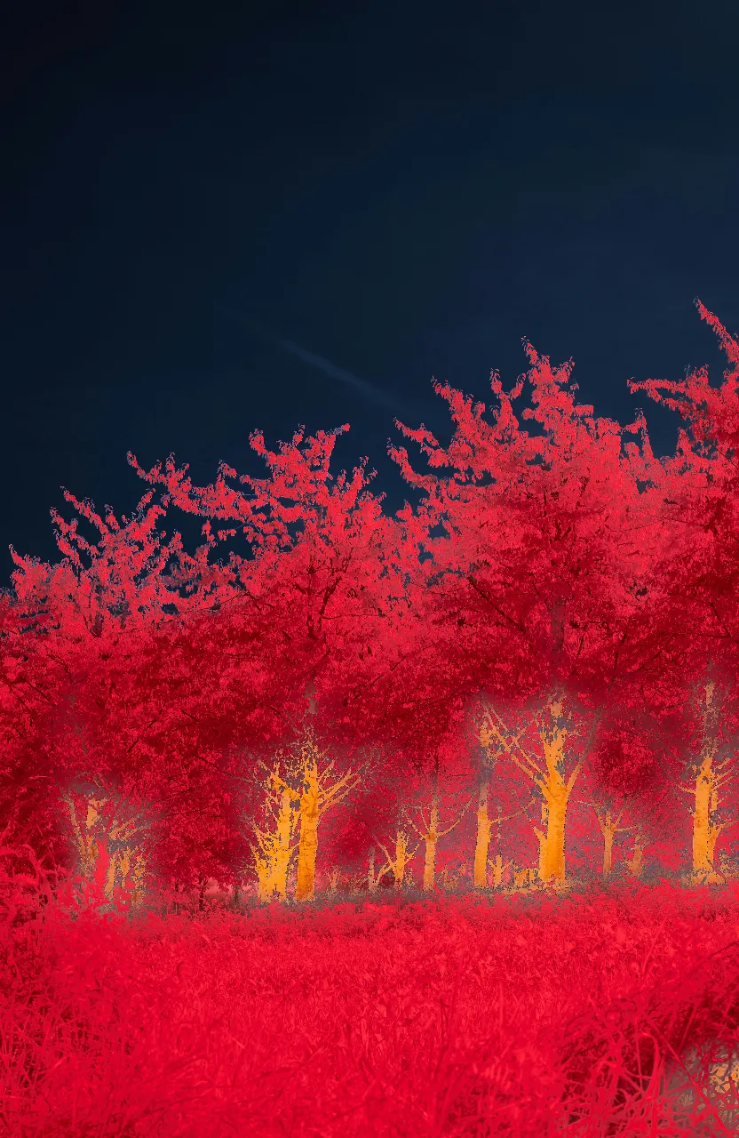 a infrared image of a red forest at night