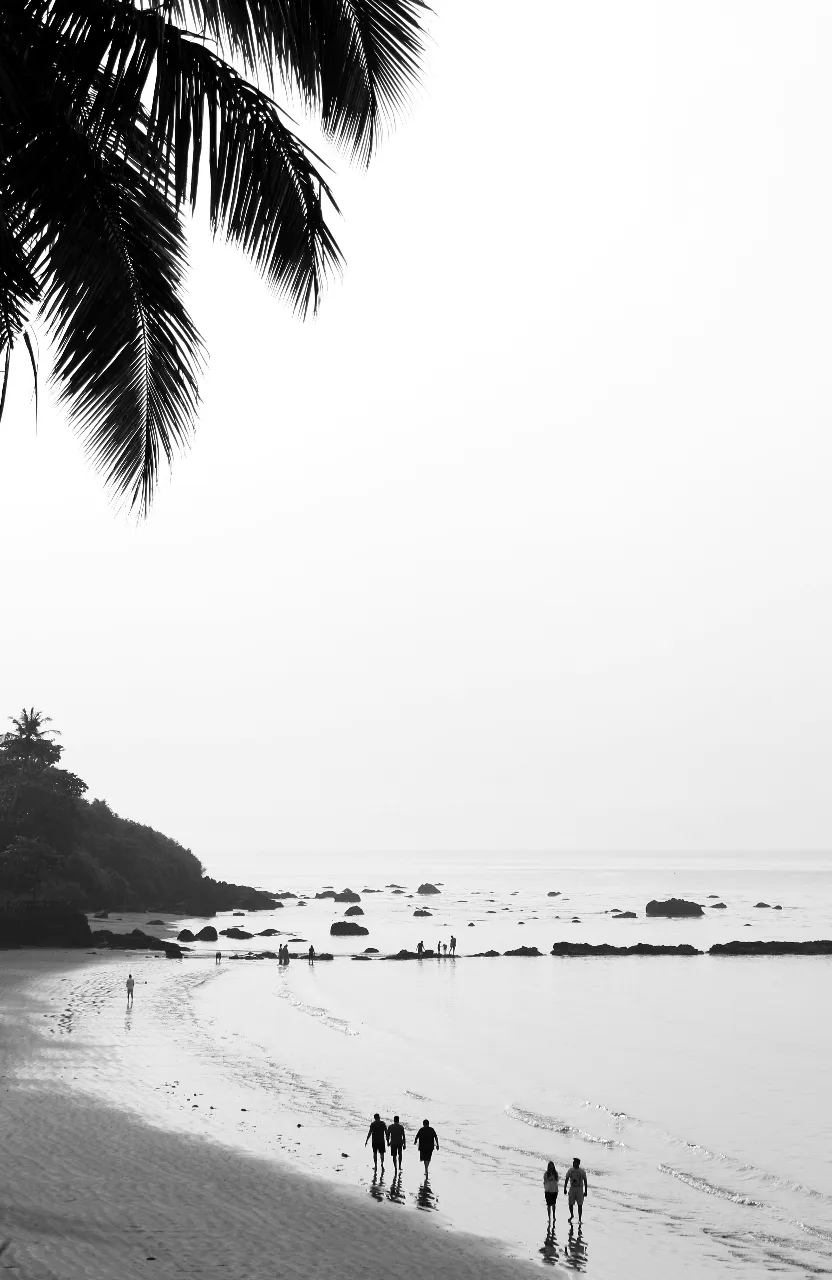 water, sky, nature, tree, beach, coastal and oceanic landforms, black-and-white, arecales, natural landscape, morning