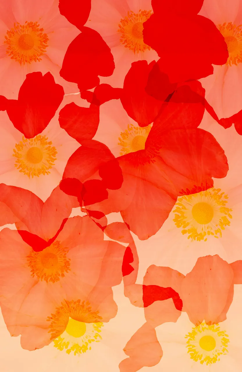 a bunch of flowers that are on a table