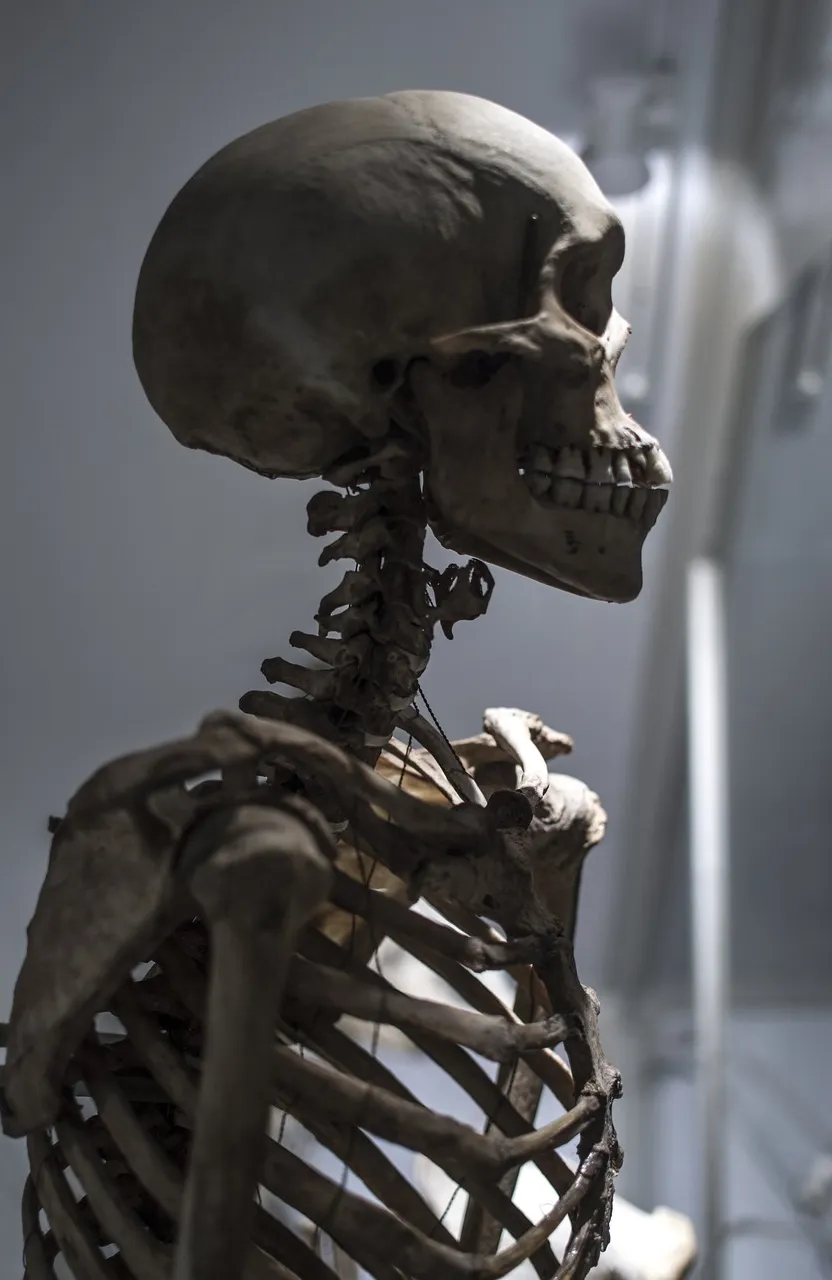 a human skeleton becomes a creepy old woman