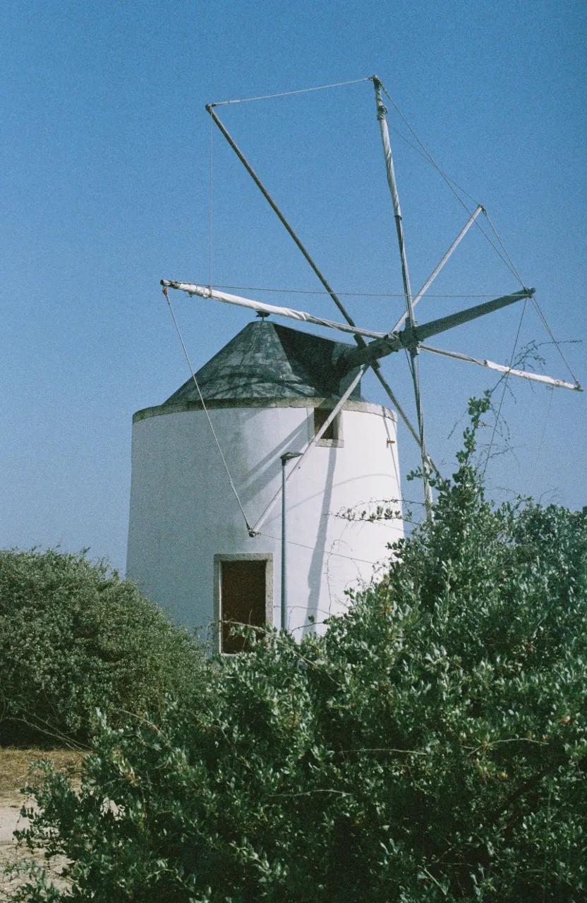 a white windmill sitting on top of a lush green field