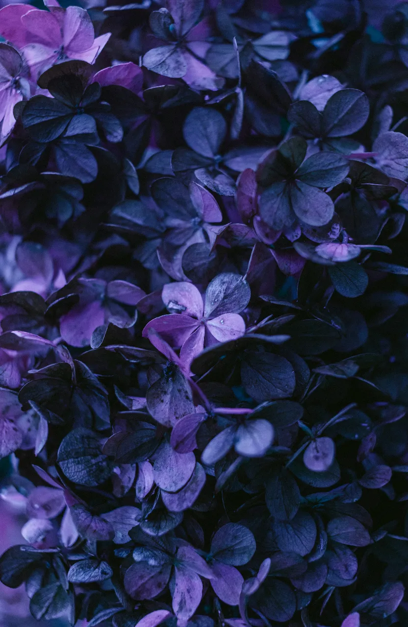 a bunch of purple flowers that are in a vase