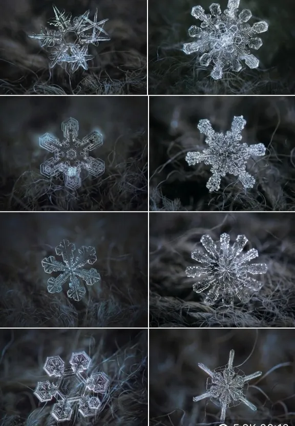 a series of photographs of snow flakes