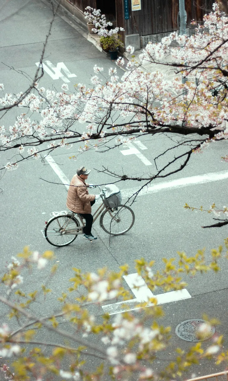 a man riding a bike down a street next to a tree in Osaka Japan