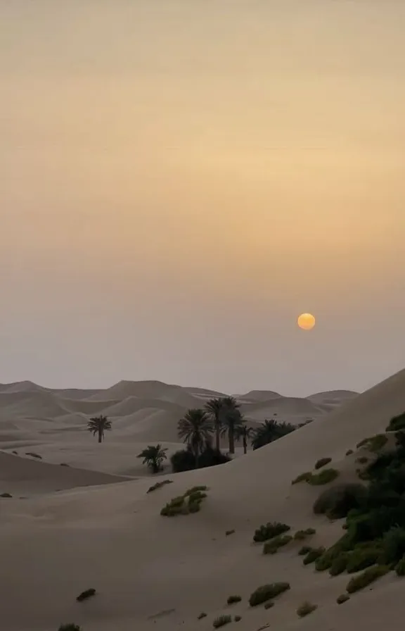 the sun is setting over the desert with palm trees