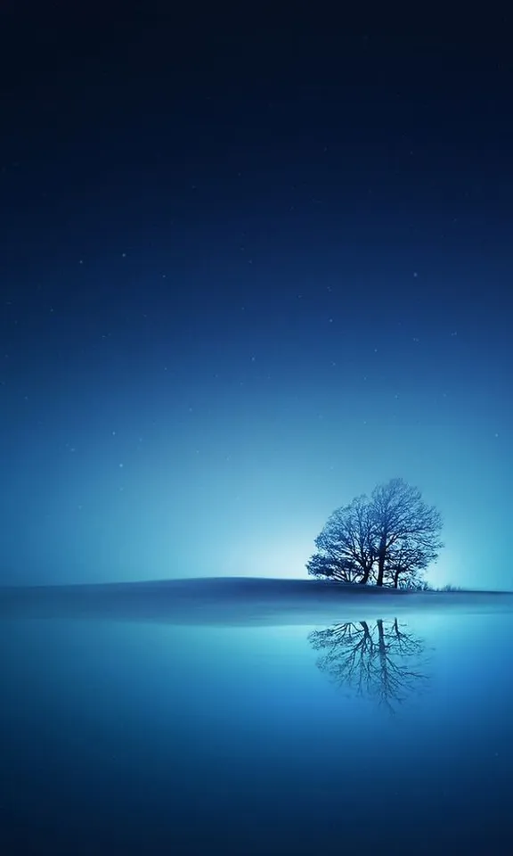 a lone tree in the middle of a lake at night