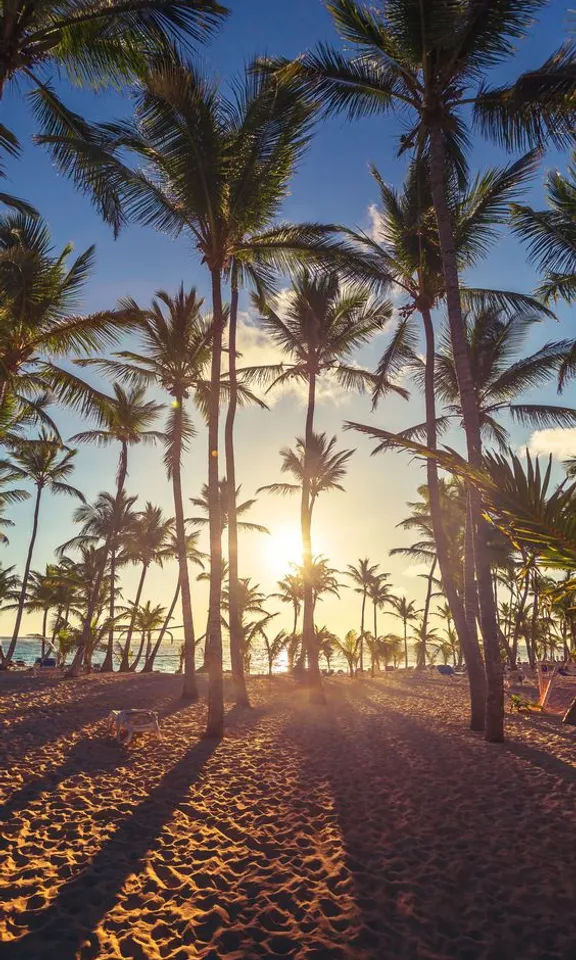 the sun is setting behind palm trees on the beach