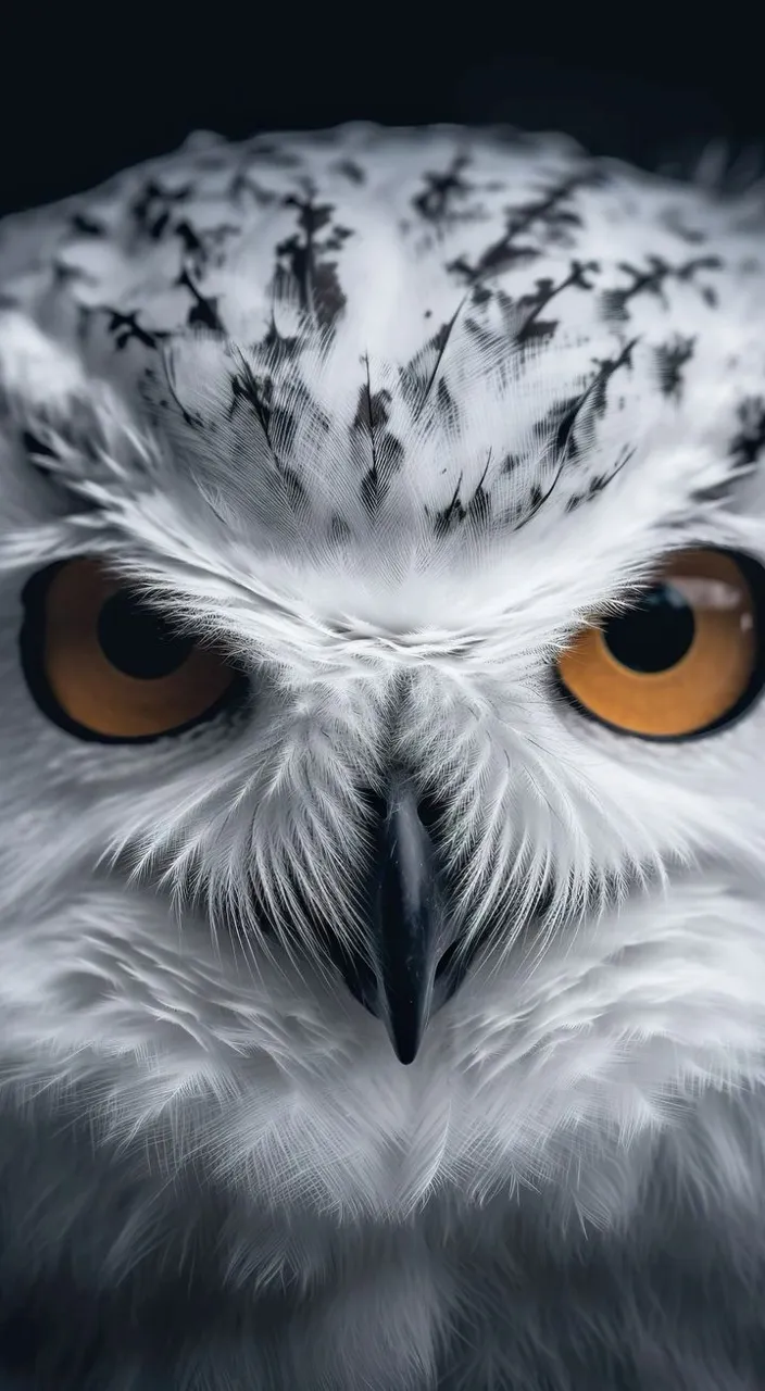 a close up of an owl's face with orange eyes