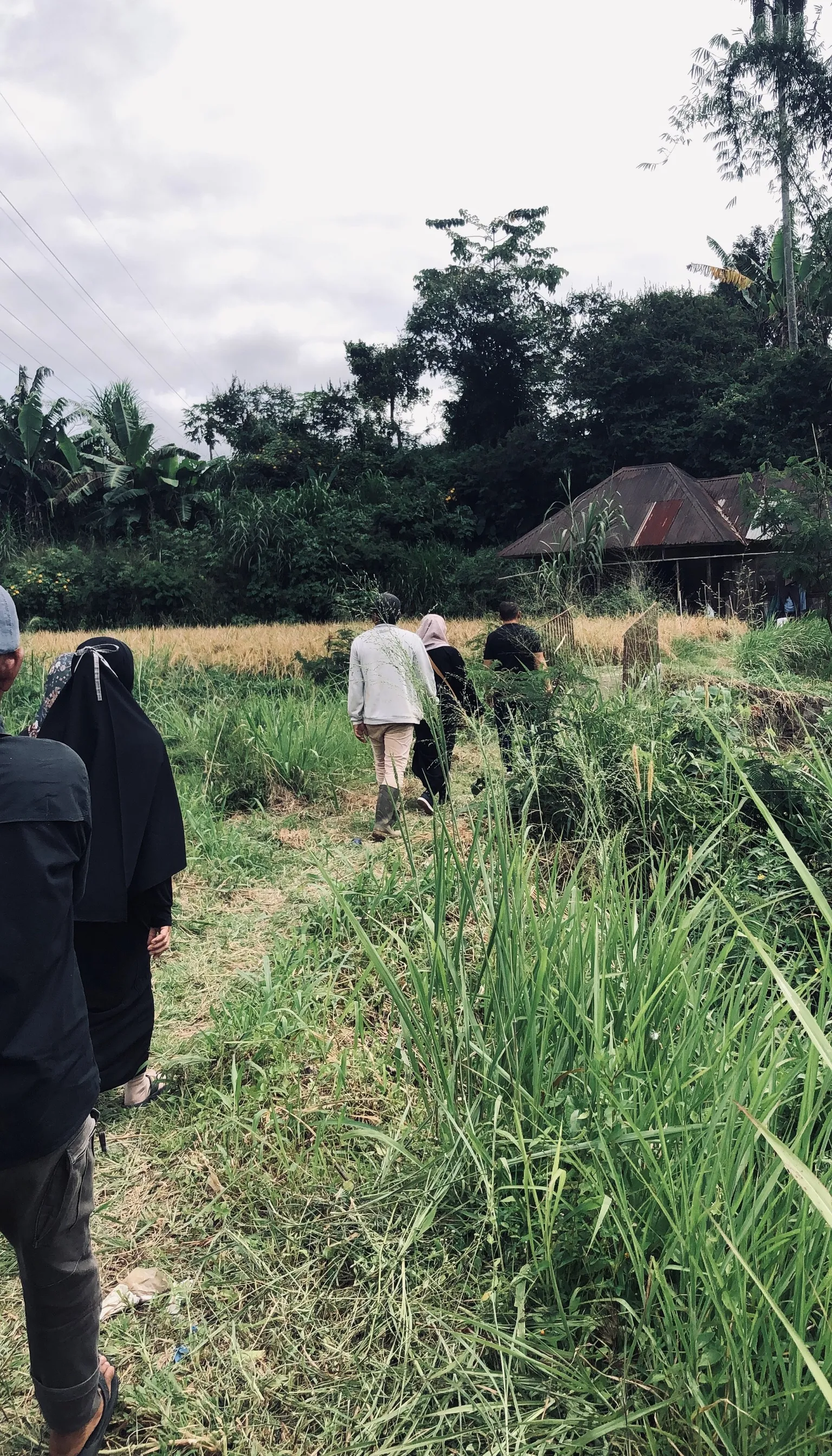 berjalan bersama menyusuri hutan, advertising style