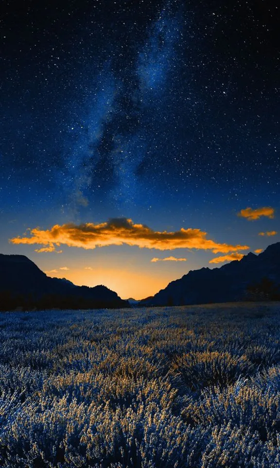 a field with a sky full of stars