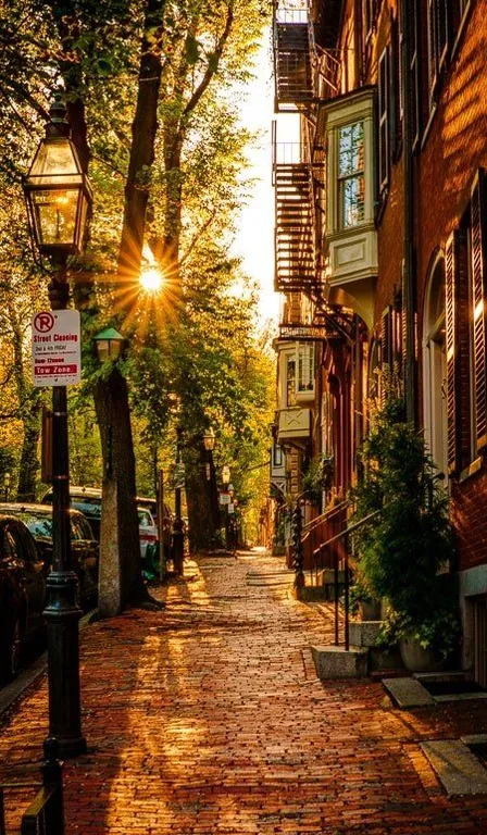 the sun is shining down on a brick street