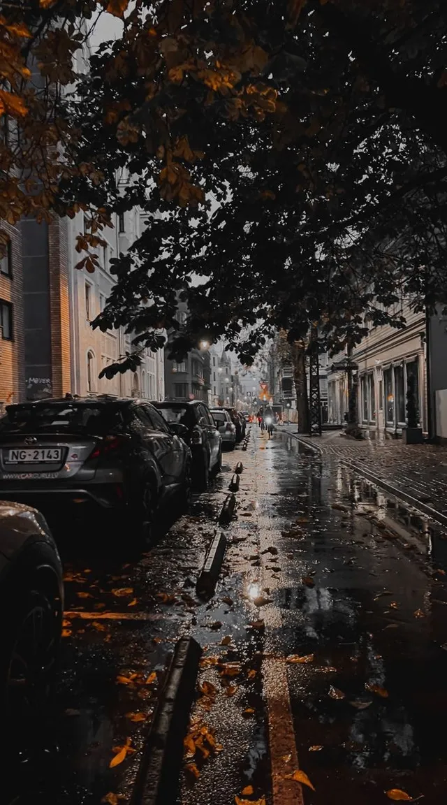 a rainy street with cars parked on the side of it