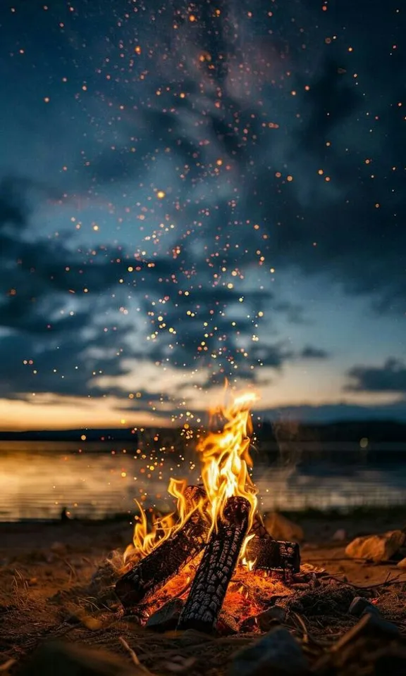 a campfire is lit up at night on the beach