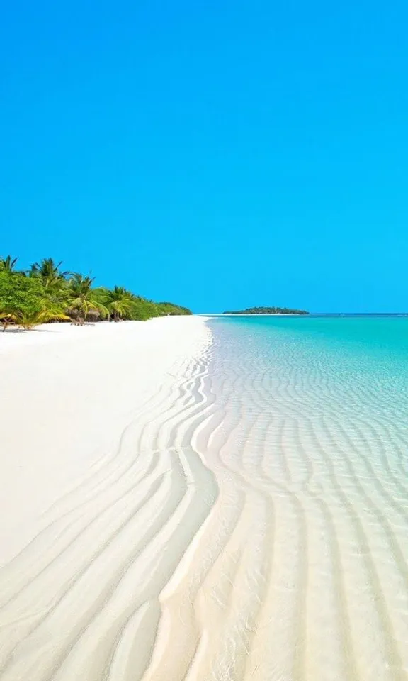 a sandy beach with blue water and palm trees