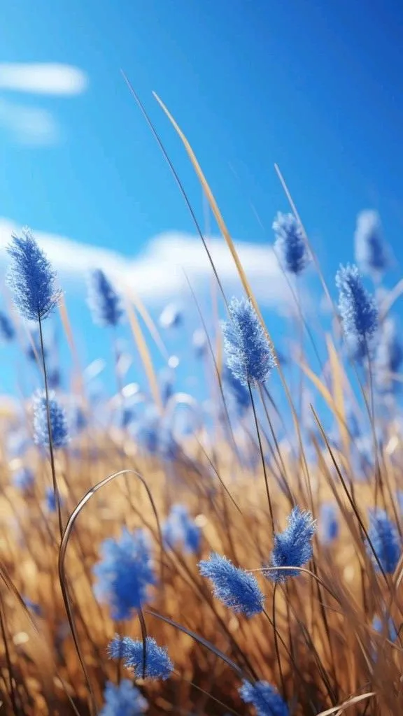 a field of blue flowers with a blue sky in the background