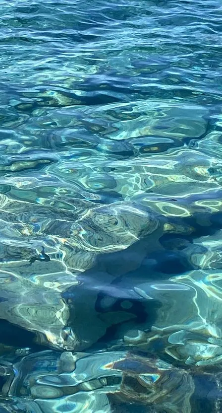 a body of water that is very clear